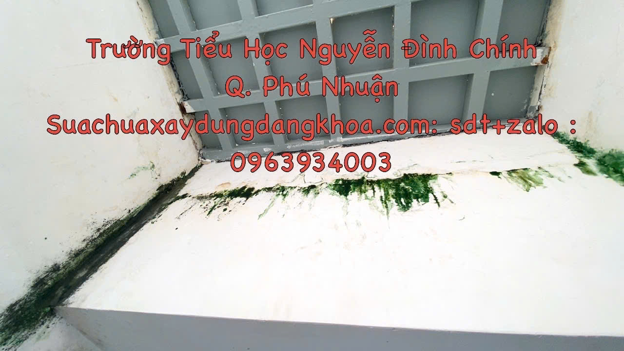 sưa chữa chống thấm 